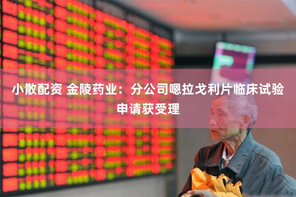 小散配资 金陵药业：分公司嗯拉戈利片临床试验申请获受理