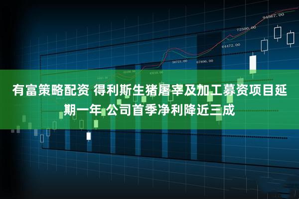 有富策略配资 得利斯生猪屠宰及加工募资项目延期一年 公司首季净利降近三成
