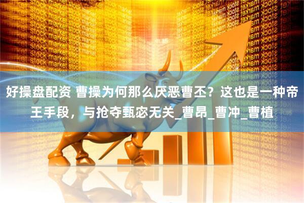 好操盘配资 曹操为何那么厌恶曹丕？这也是一种帝王手段，与抢夺甄宓无关_曹昂_曹冲_曹植