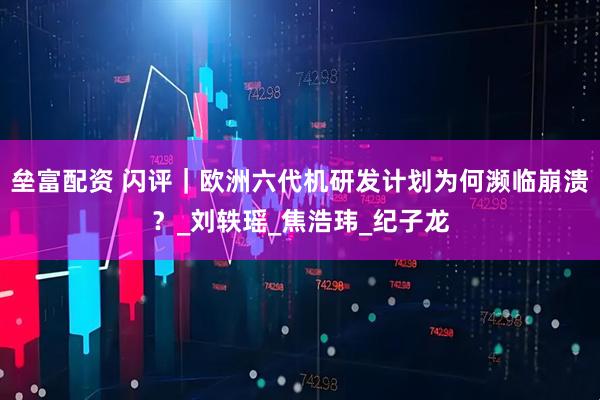 垒富配资 闪评｜欧洲六代机研发计划为何濒临崩溃？_刘轶瑶_焦浩玮_纪子龙