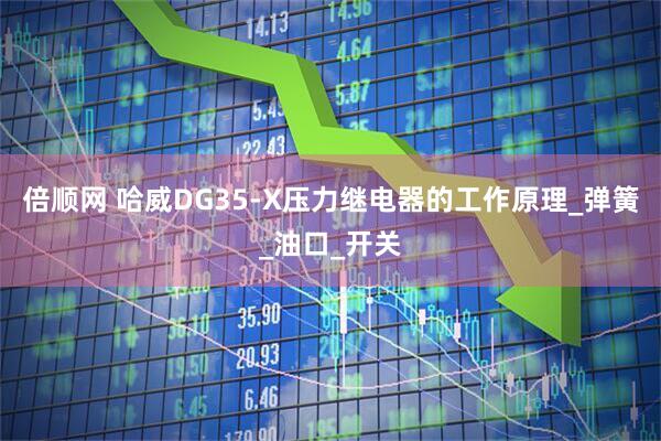 倍顺网 哈威DG35-X压力继电器的工作原理_弹簧_油口_开关
